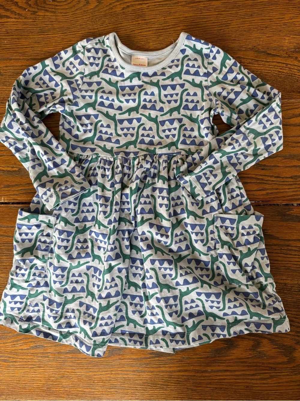 Hanna Andersson Green & Blue Dino playground Long-Sleeve Dress